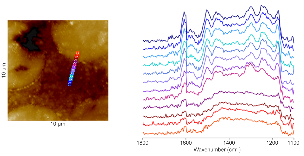 nanoIR2 measurements on a carbon fiber-epoxy composite revealing variations in chemical composition across the fiber/epoxy interface. This measurement was performed on a polished bulk sample.