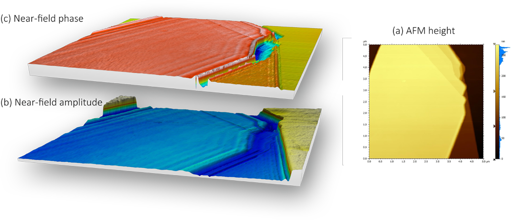 Nano imaging of surface phonon polaritons (SPhP) on hexagonal boron nitride (hBN). (a) AFM height image shows homogeneous hBN surface with different layers on Si substrate; (b) s-SNOM amplitude shows strong interference fringes due to propagating SPhP along the surface on hBN; (c) s-SNOM phase shows a different phase with layer thickness. From the image b and c, we can also see the wavelength of the SPhP changes with the number of layers.
