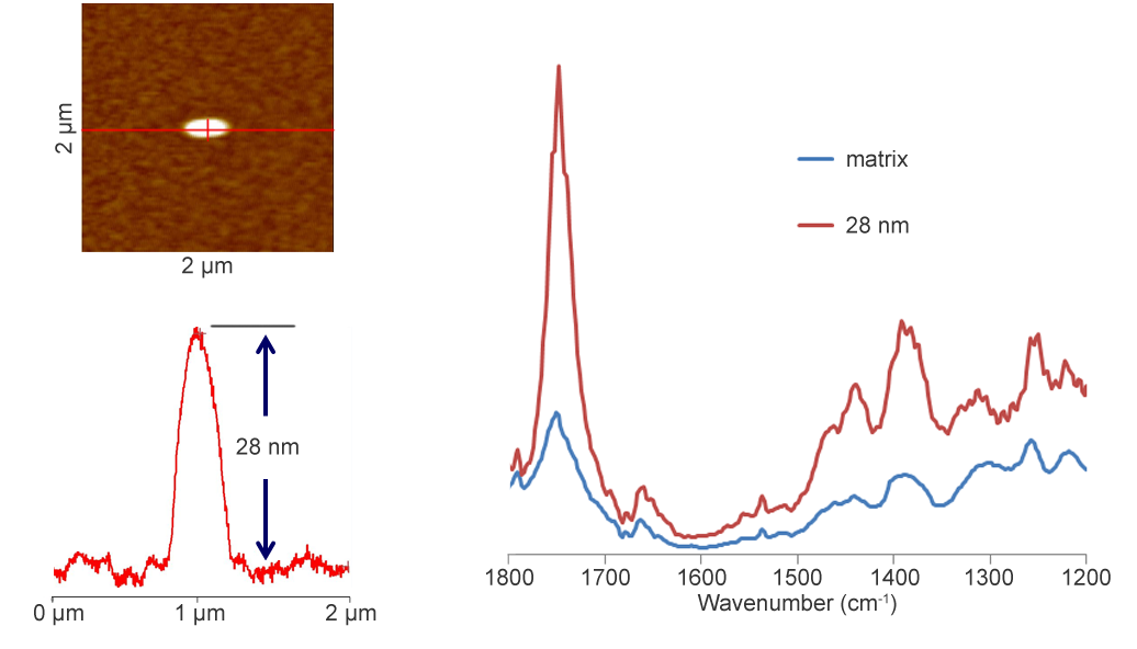 Organic Nanocontaminant